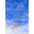 Drone Flower Release System | Flowers from Heaven | Flower Dropper - Accessories