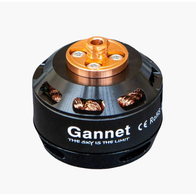 Gannet Pro Motor